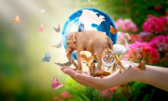 Safeguarding Biodiversity: Human hand holding Earth, an elephent, a tiger, a deer a crane and other living things